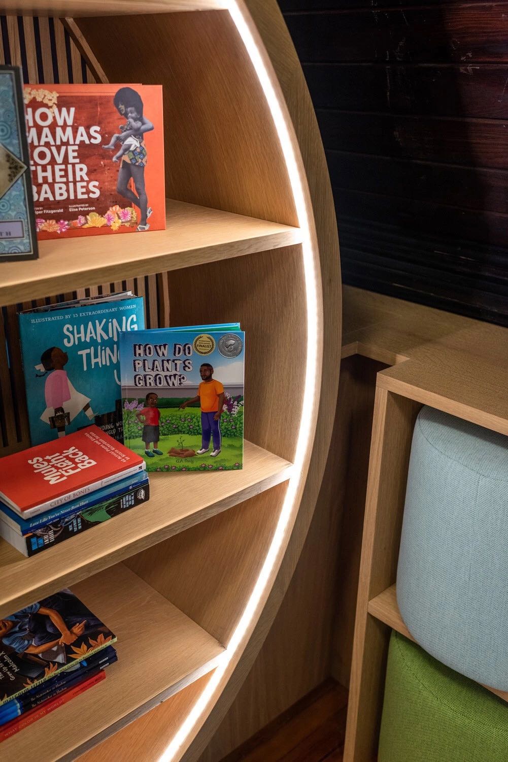 THE CHILDREN’S LIBRARY AT CONCOURSE HOUSE(图3)